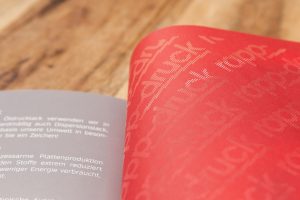 druckerei-rapp-druck-imagebroschuere-inhalt-laserstanzung-ii