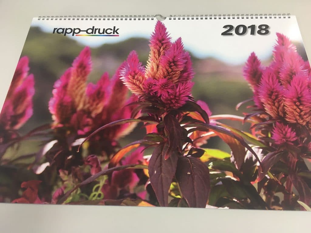 Titelblatt des Rapp-Druck Fotokalenders für 2018